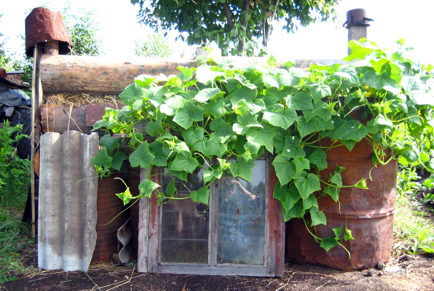 Wer wohnt im Haus ..?