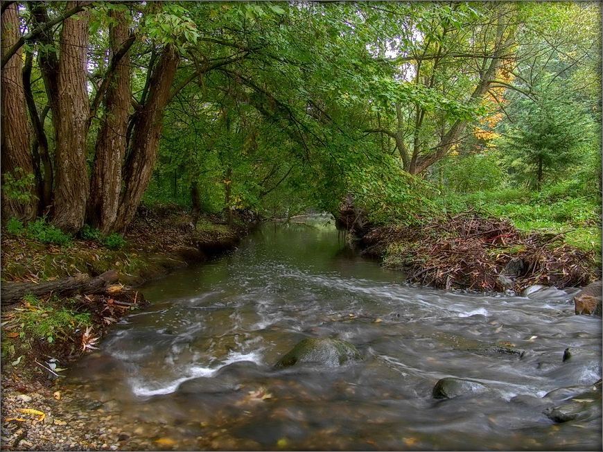 einfache pasluhats, Yak en zhurchyts ..