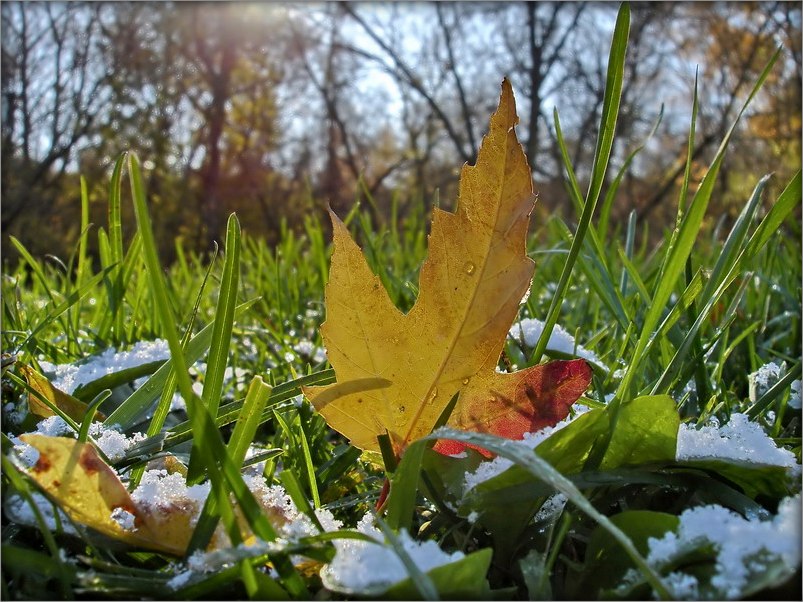 light snow flurries tonight forecast