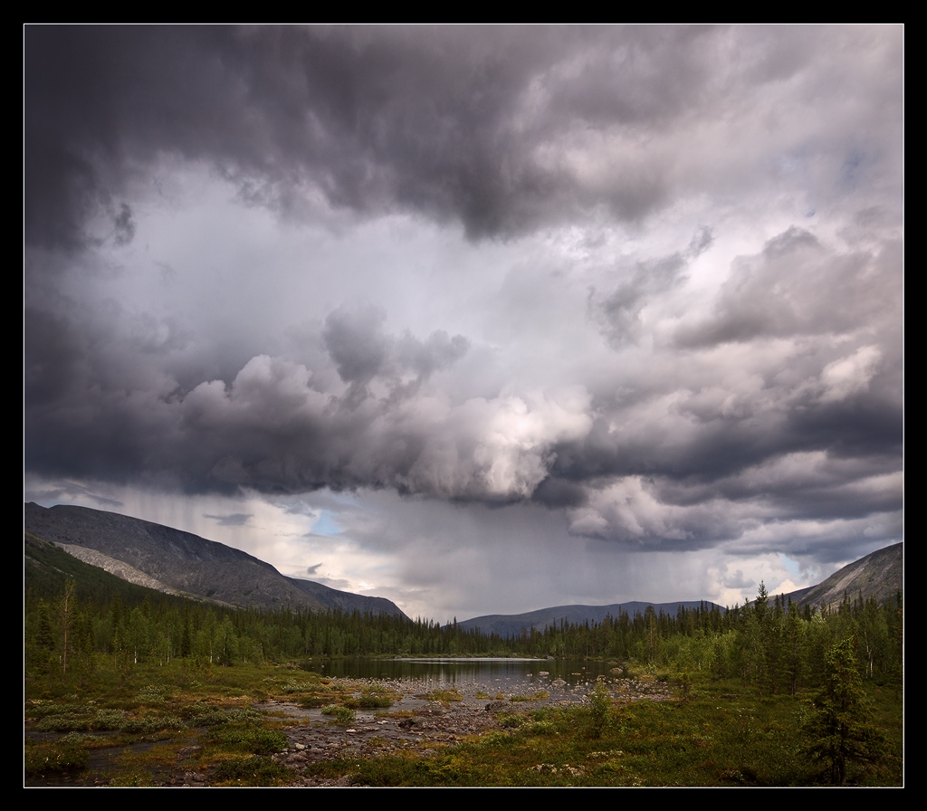 Im Sommer regnete es, und die Art des Schreiens ...