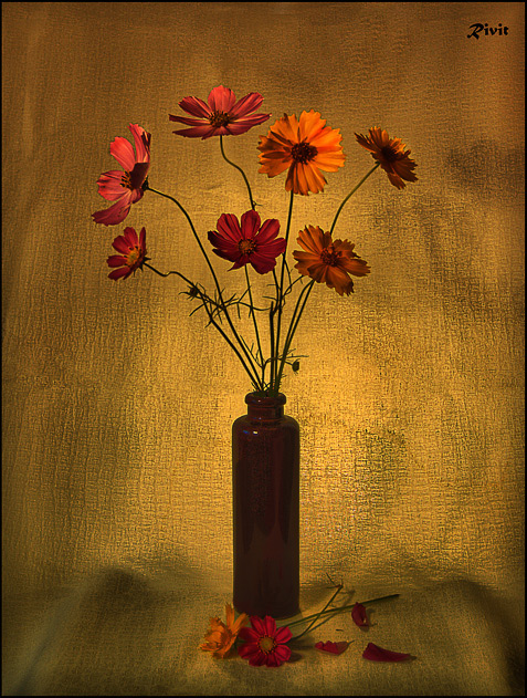 Auch die Blätter fallen