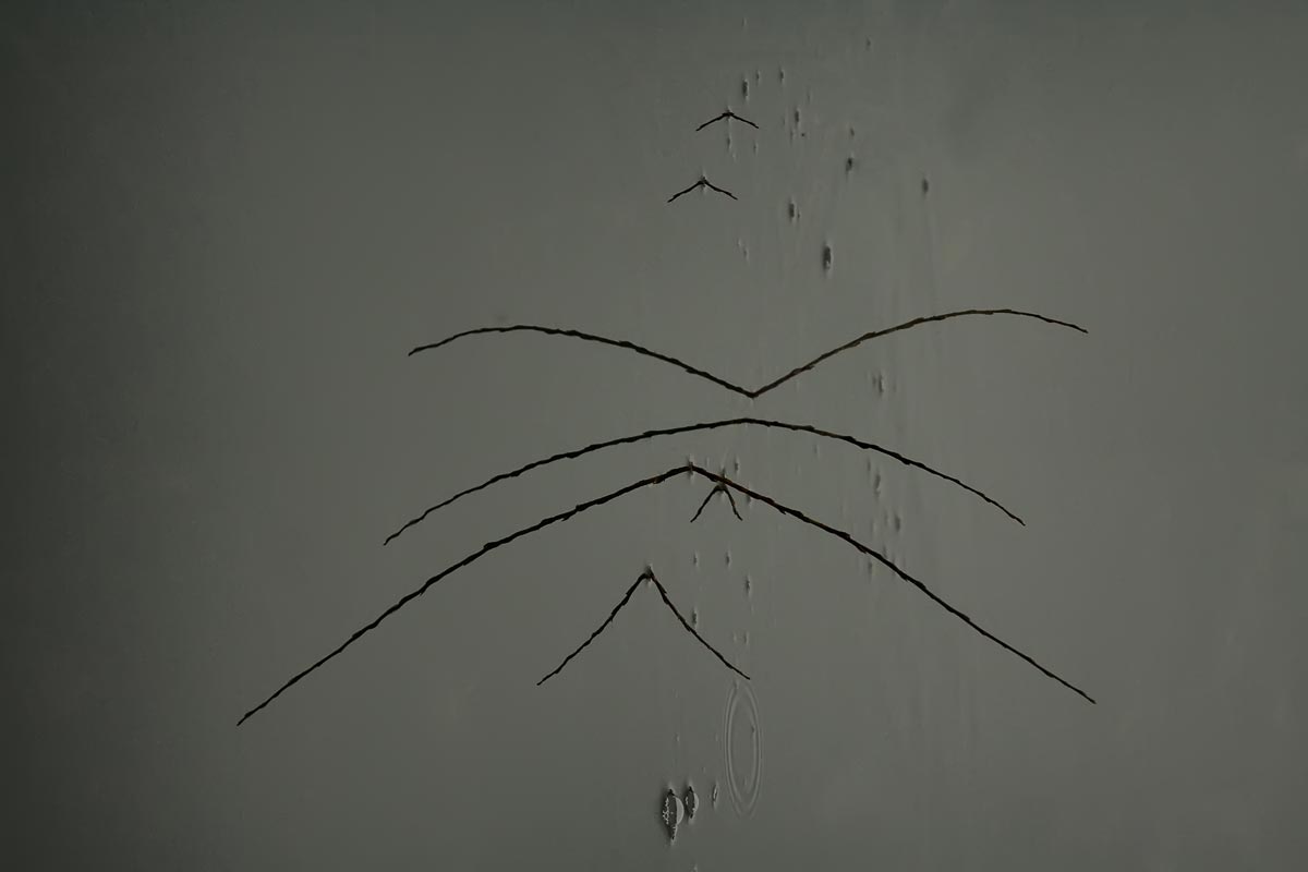 Abflug in den Süden