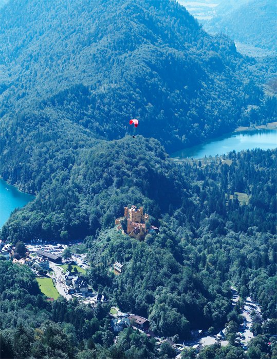 fliegt über das Nest Koenig