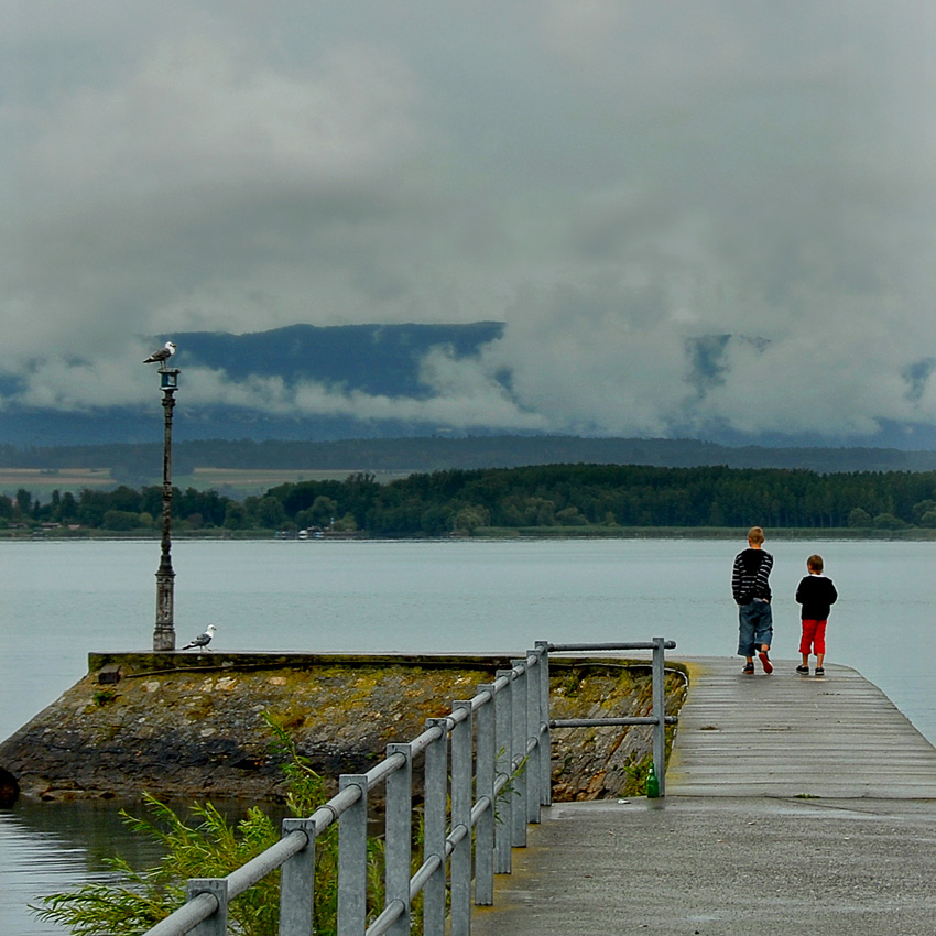 Brüder und Geflügel