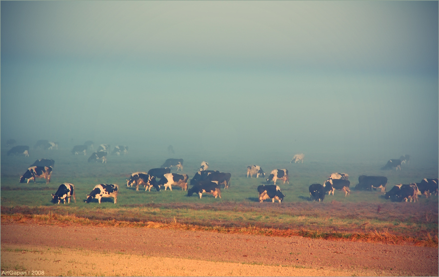 Am frühen Morgen ...