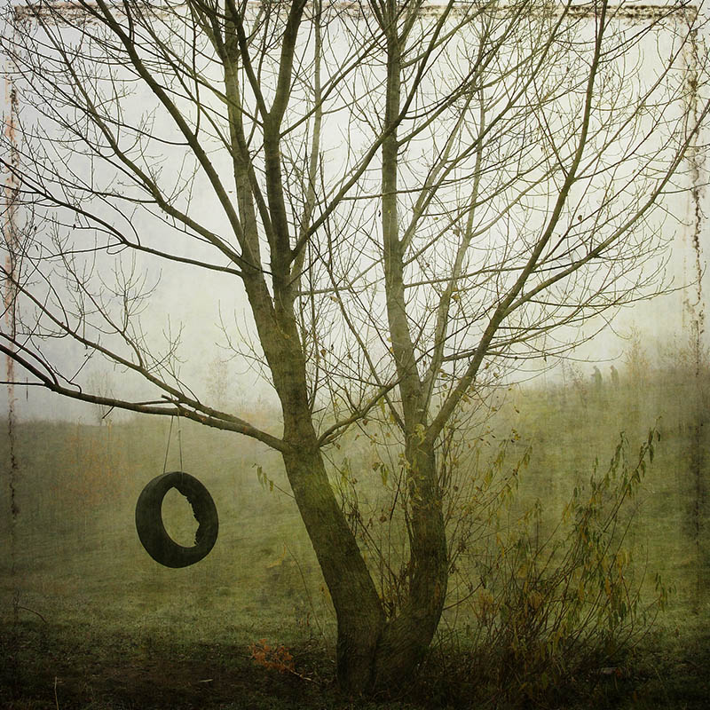 Im Vorgriff auf Pitbull