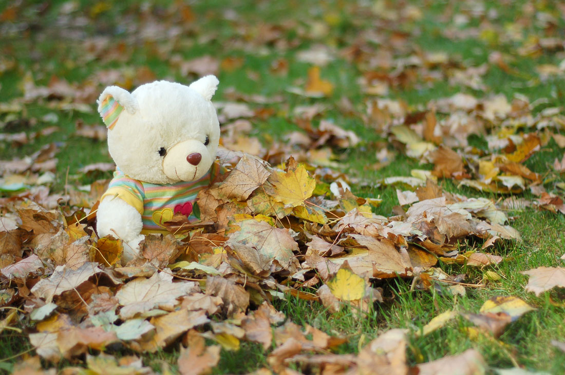 ... gebrochenen Herzen ...