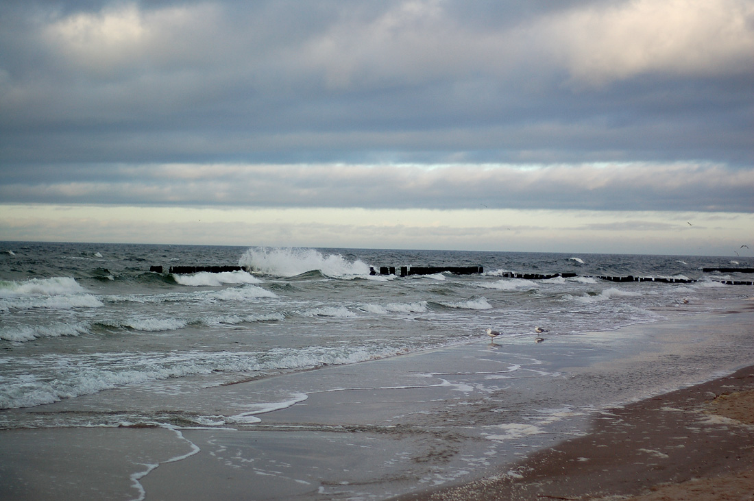 ... Wer will ein Stück