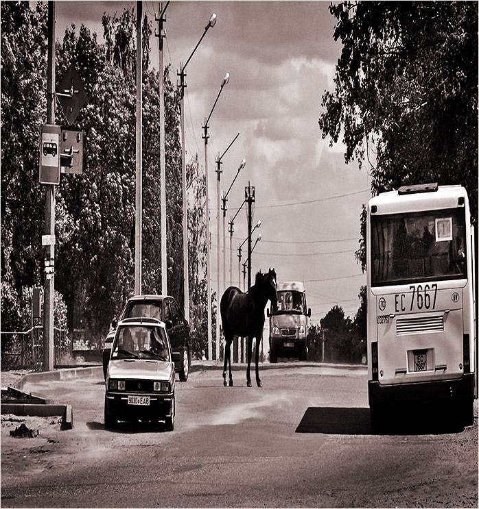 Vierfüßlerstand odnohvosty Fußgänger (repost)