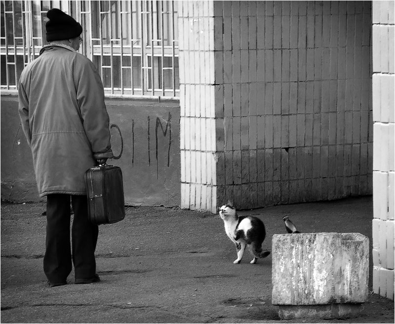 ernsthafte Diskussion
