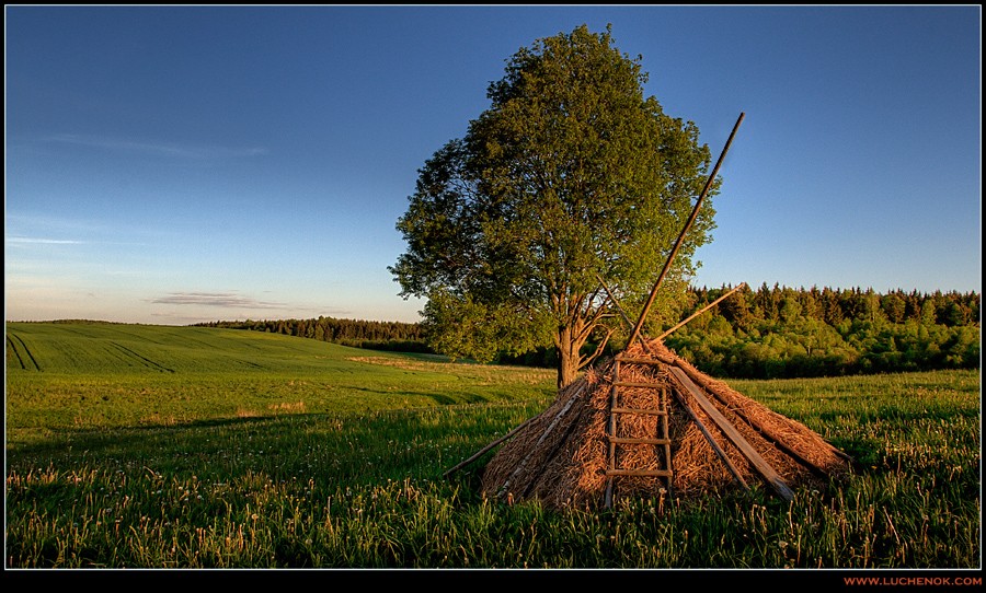 Haystack UNDER THE TREE