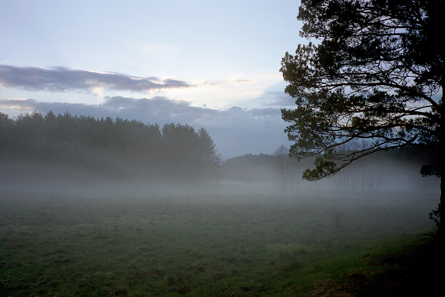 Annäherung an den Nebel