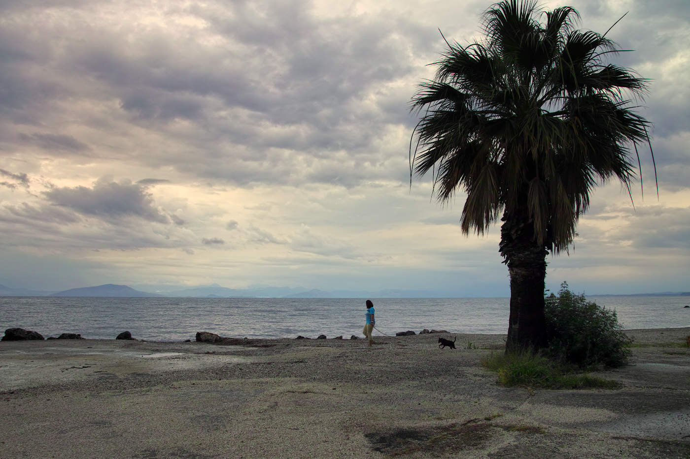 Dame mit dem Hündchen