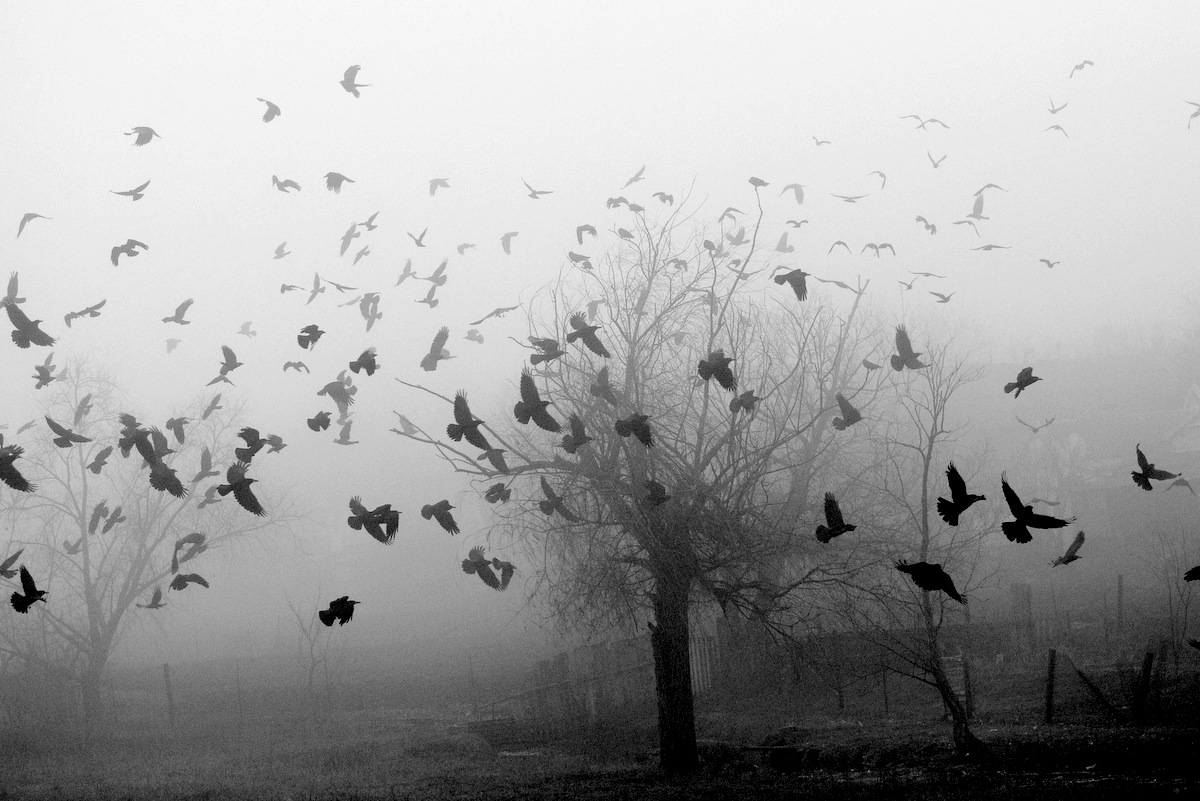 Der Geruch des Herbstes