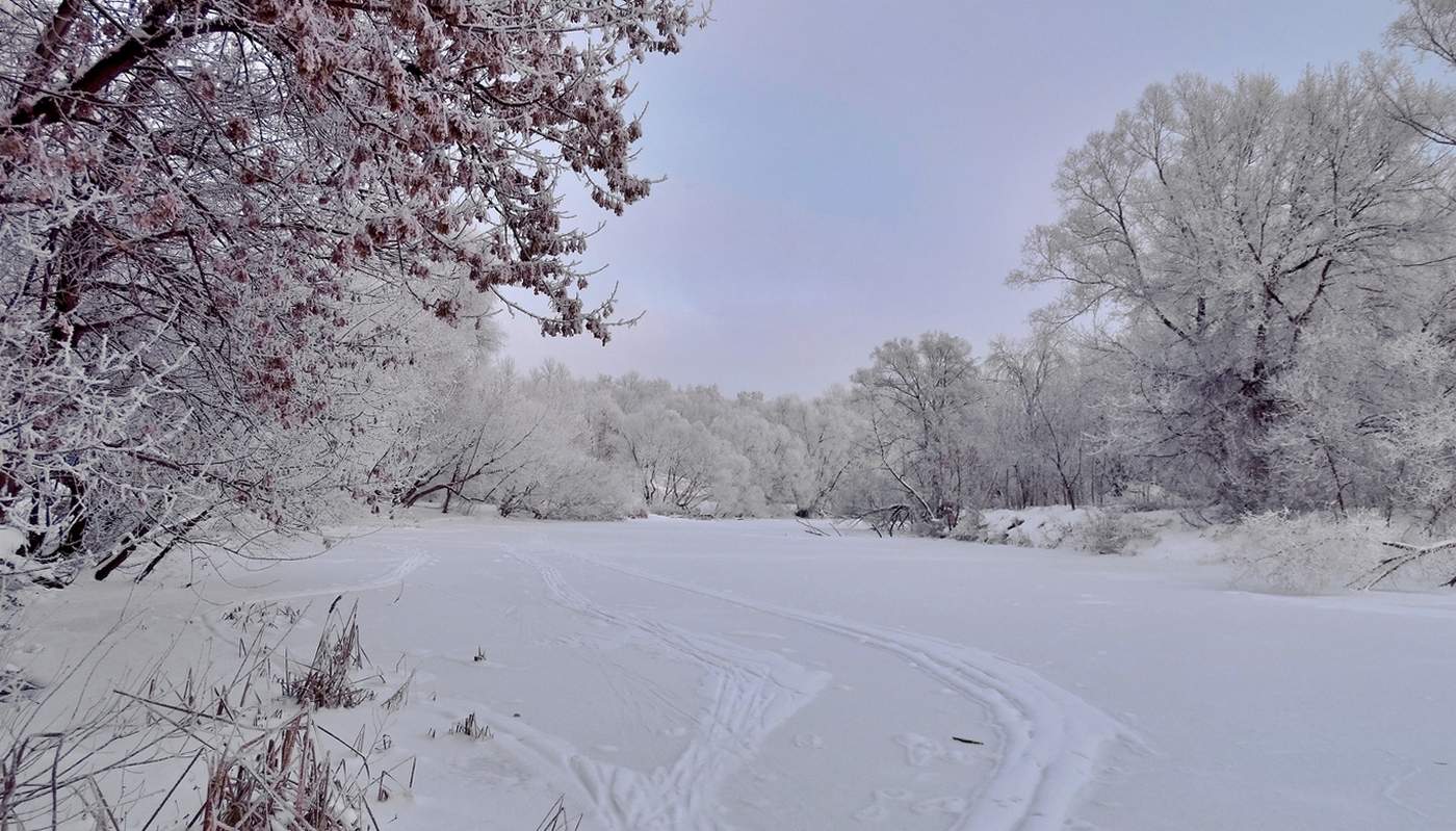 In diesem Winter kam