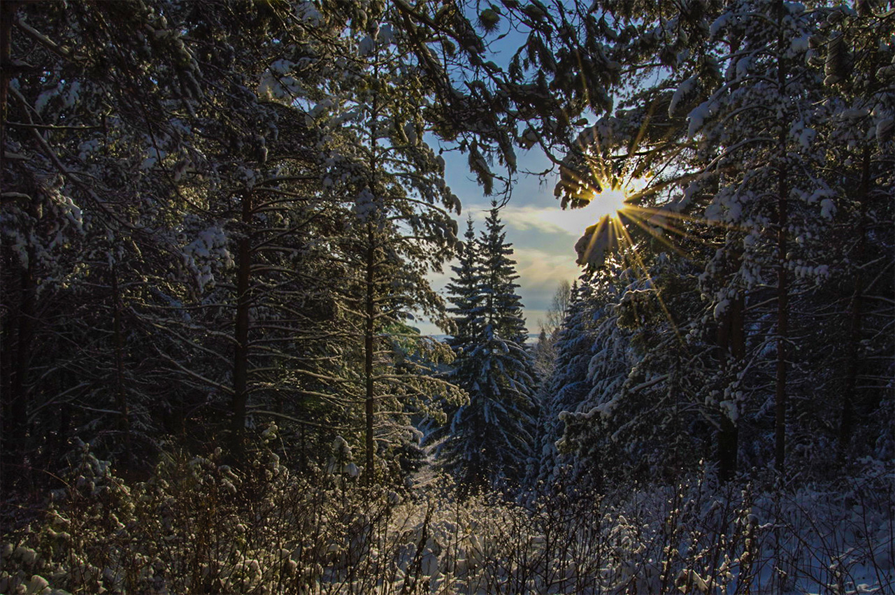 Strahlen der Sonne ...