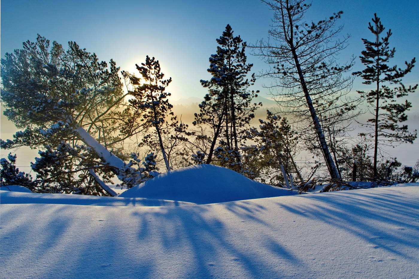 Ein frostiger Morgen