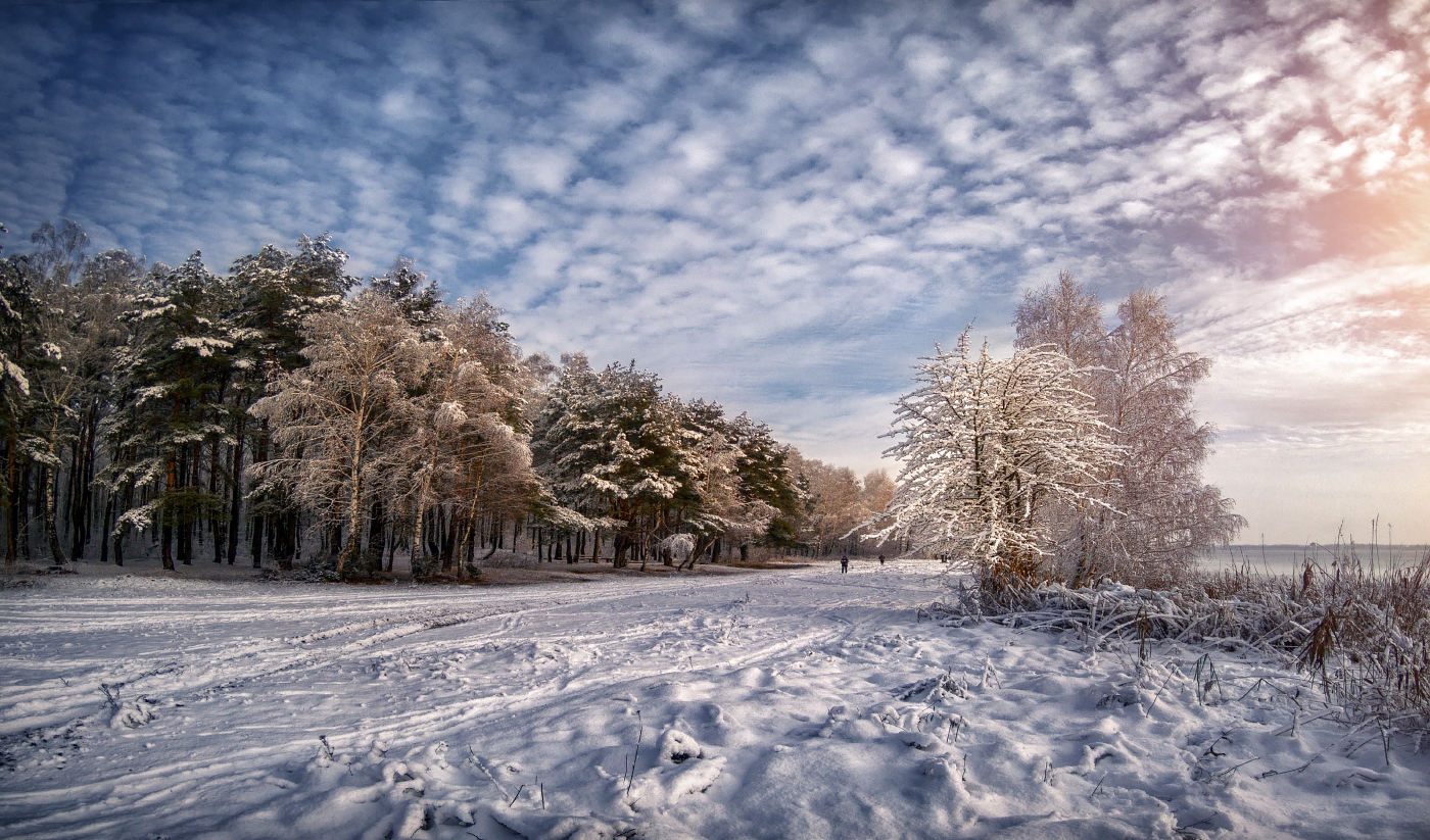 Snowy Beach