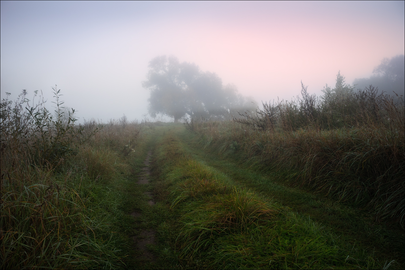 Straße im Nebel