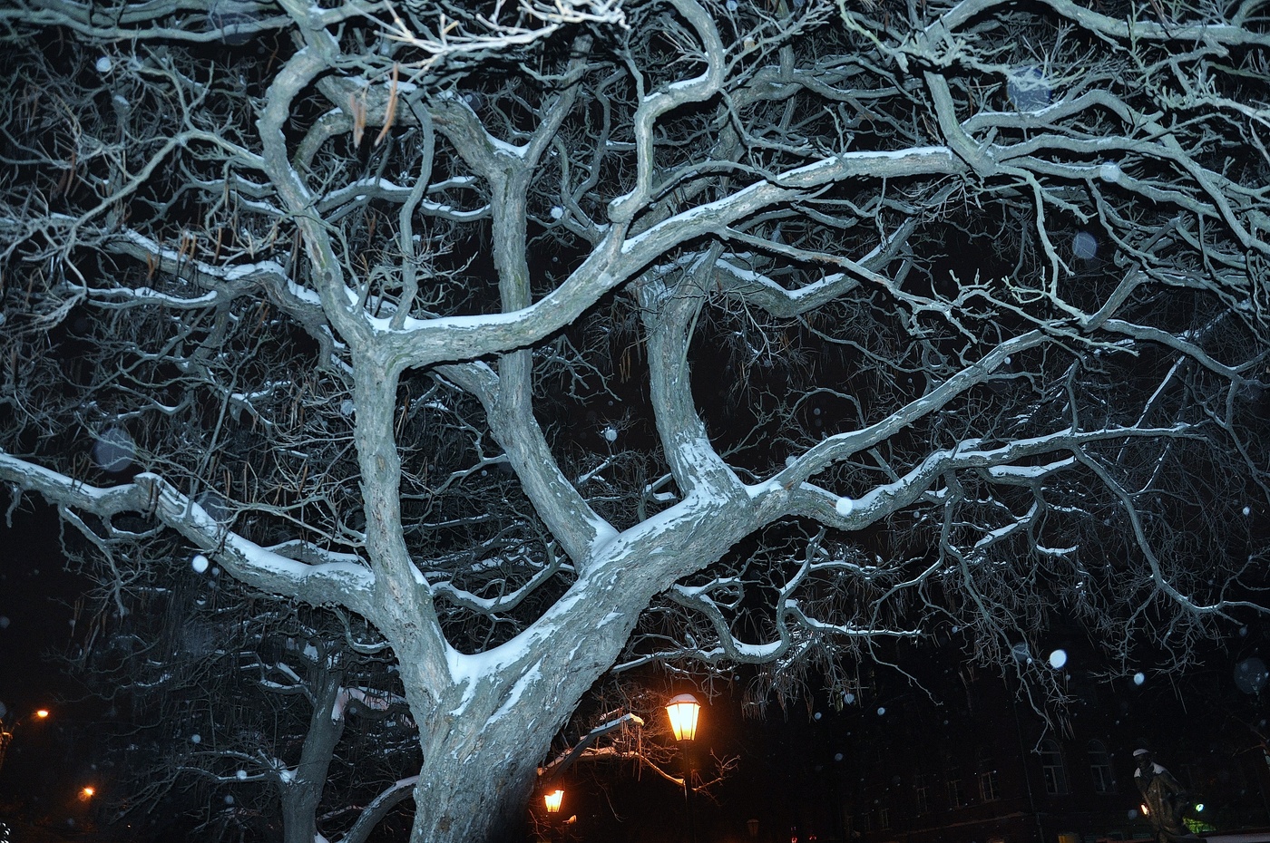 Sonnenuntergang im Winter