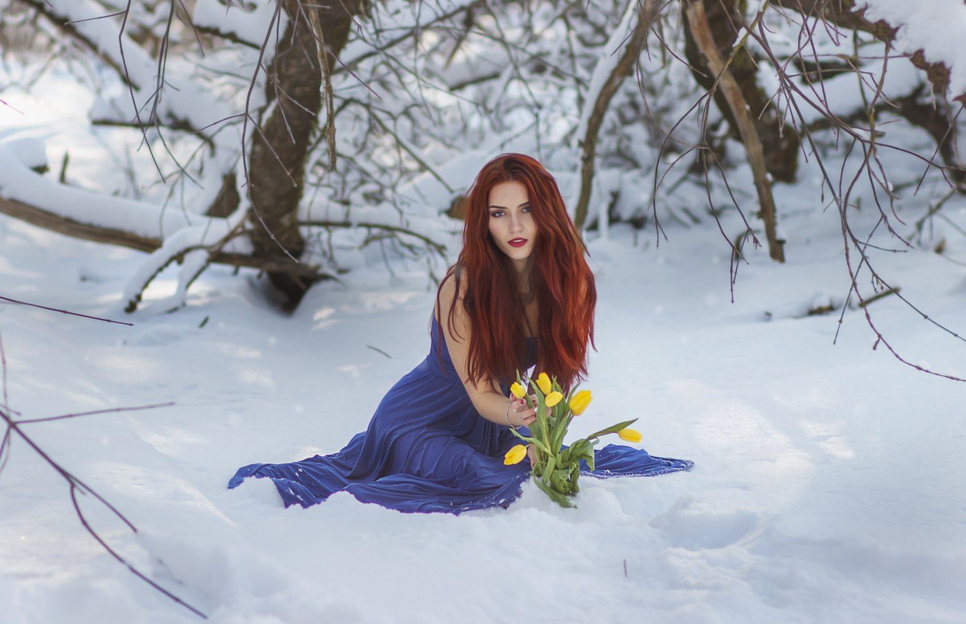 The Tale of the Snow Flowers