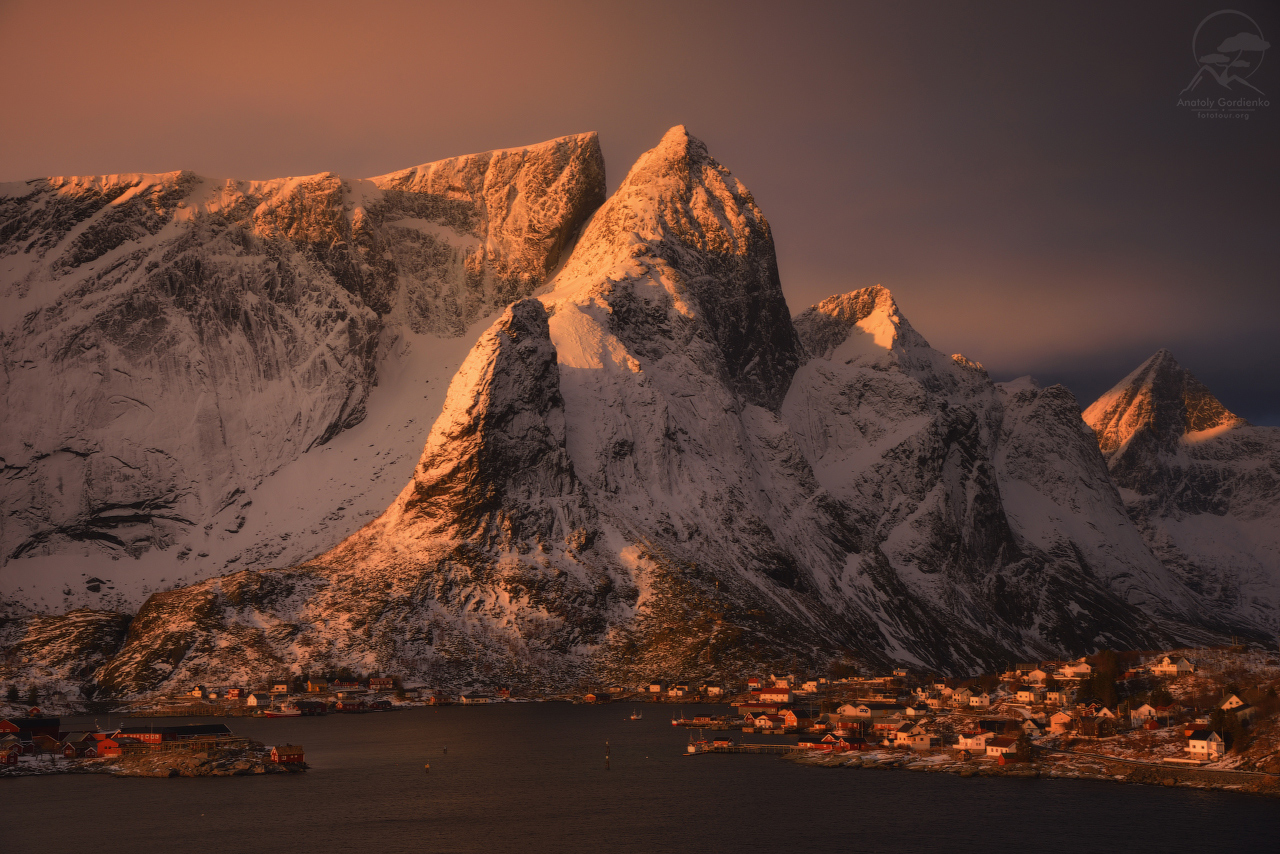 Reine