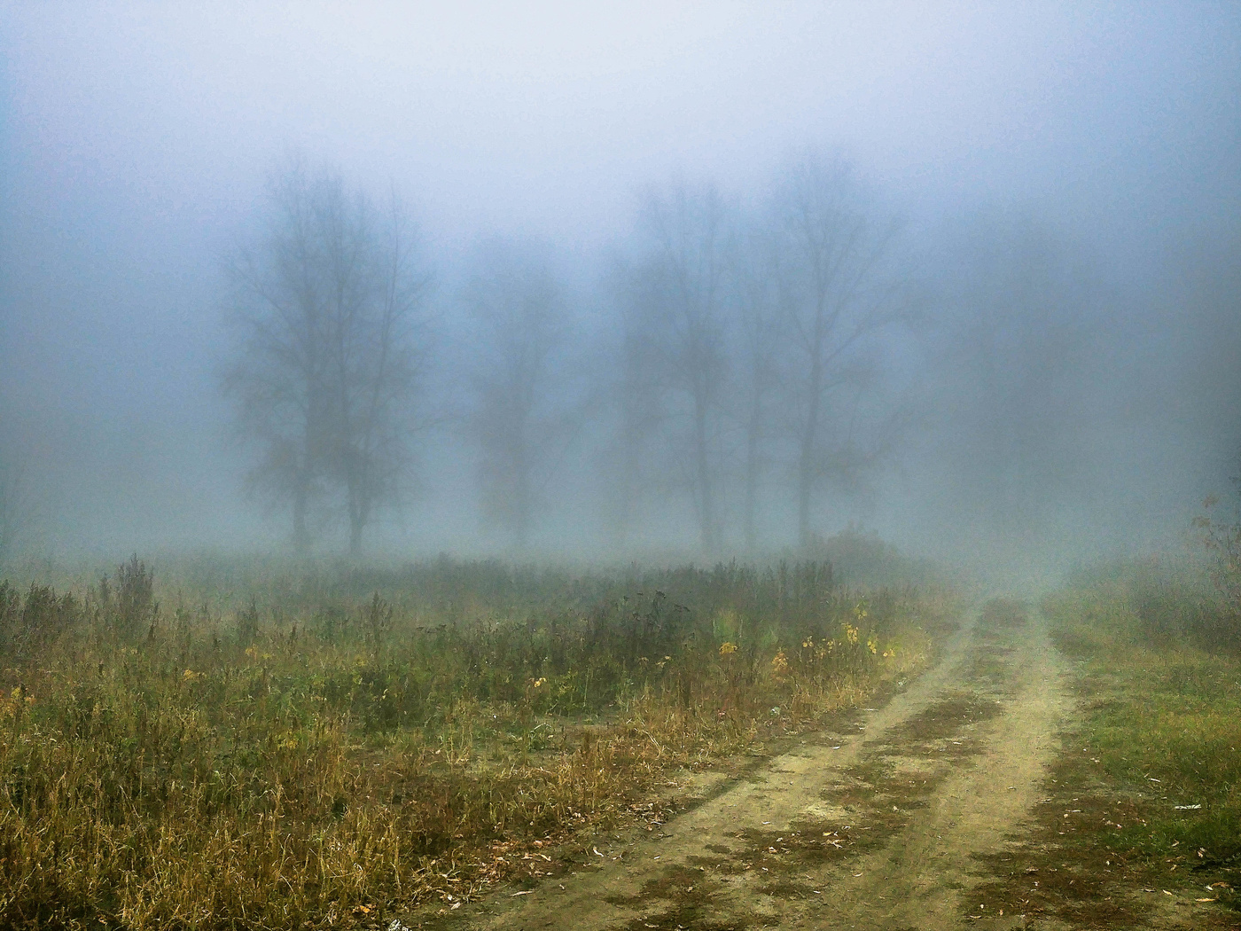 Der Geruch des Herbstes