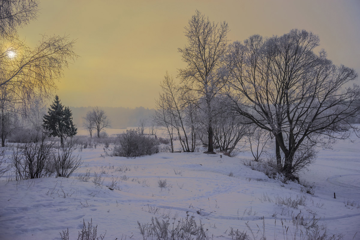 Frost war sehr intensiv ...
