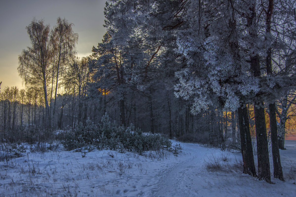 "Es gibt auf unbekannten Spuren ..."