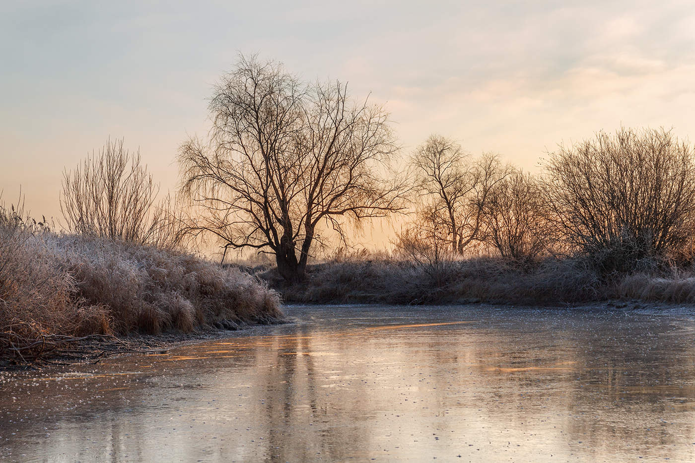 Am Morgen auf dem See