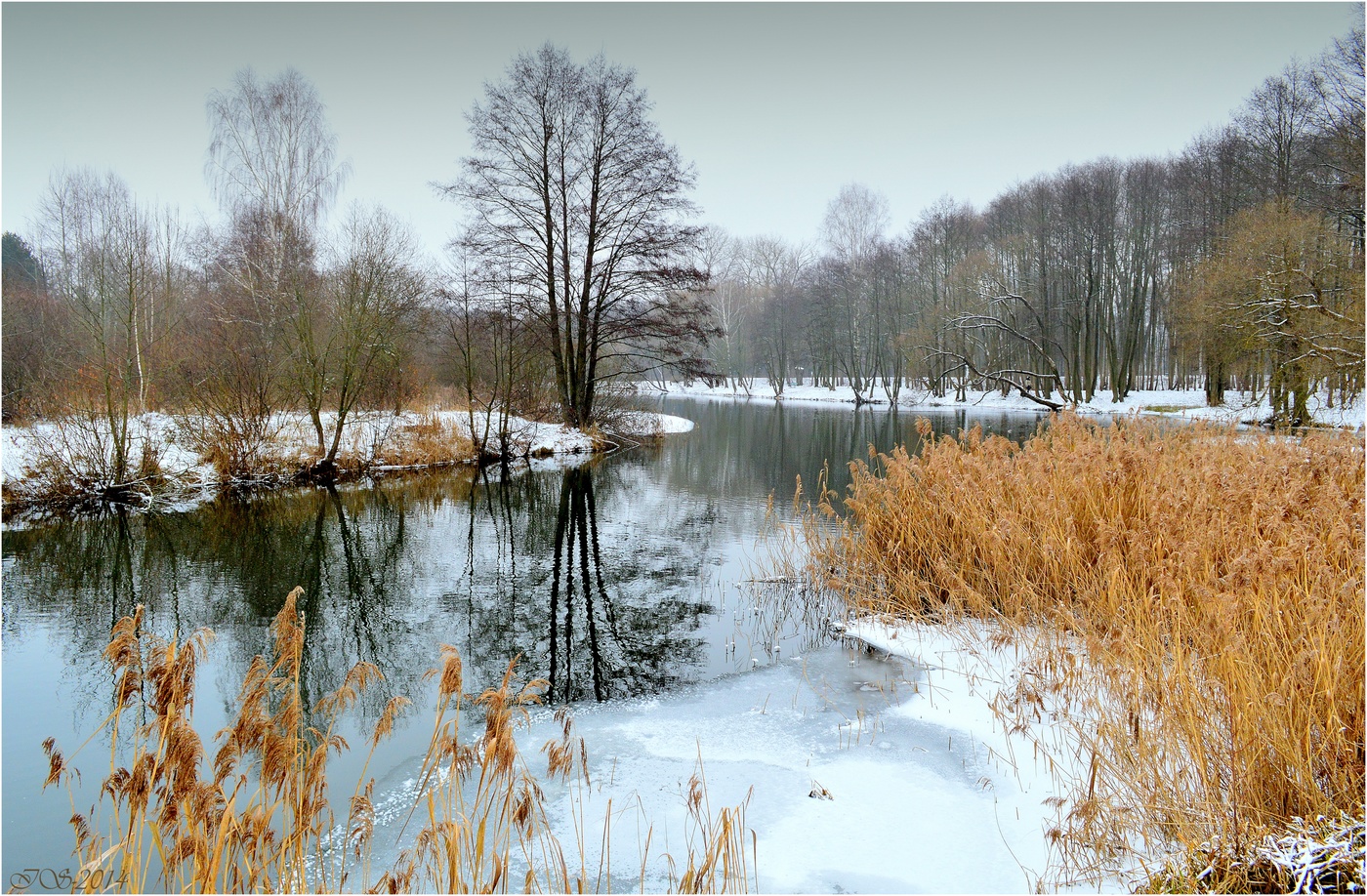 Winter river