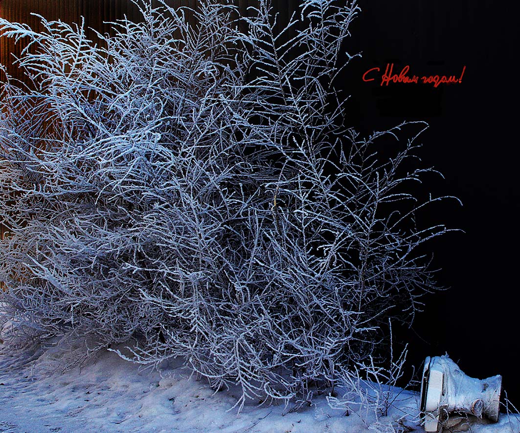 Herzlichen Glückwunsch!