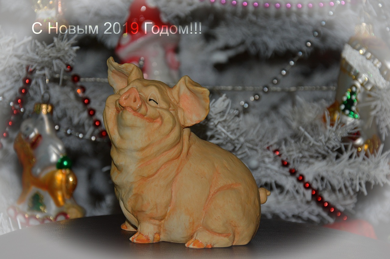 Glückliches Neues Jahr !!!