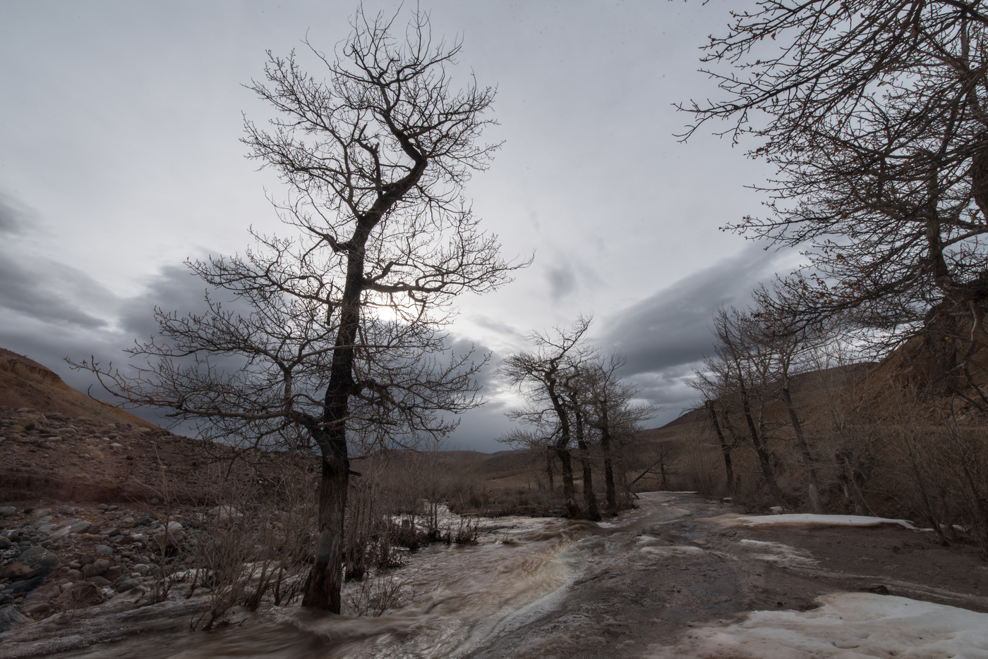 Frühling in der Altai