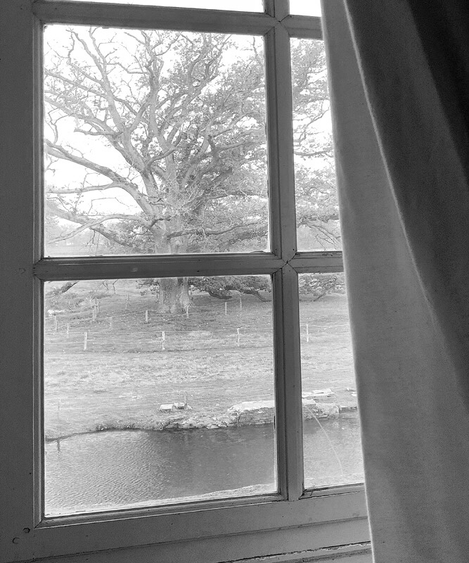 Außerhalb des Fensters