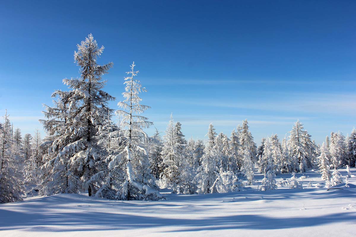 Winterlandschaft