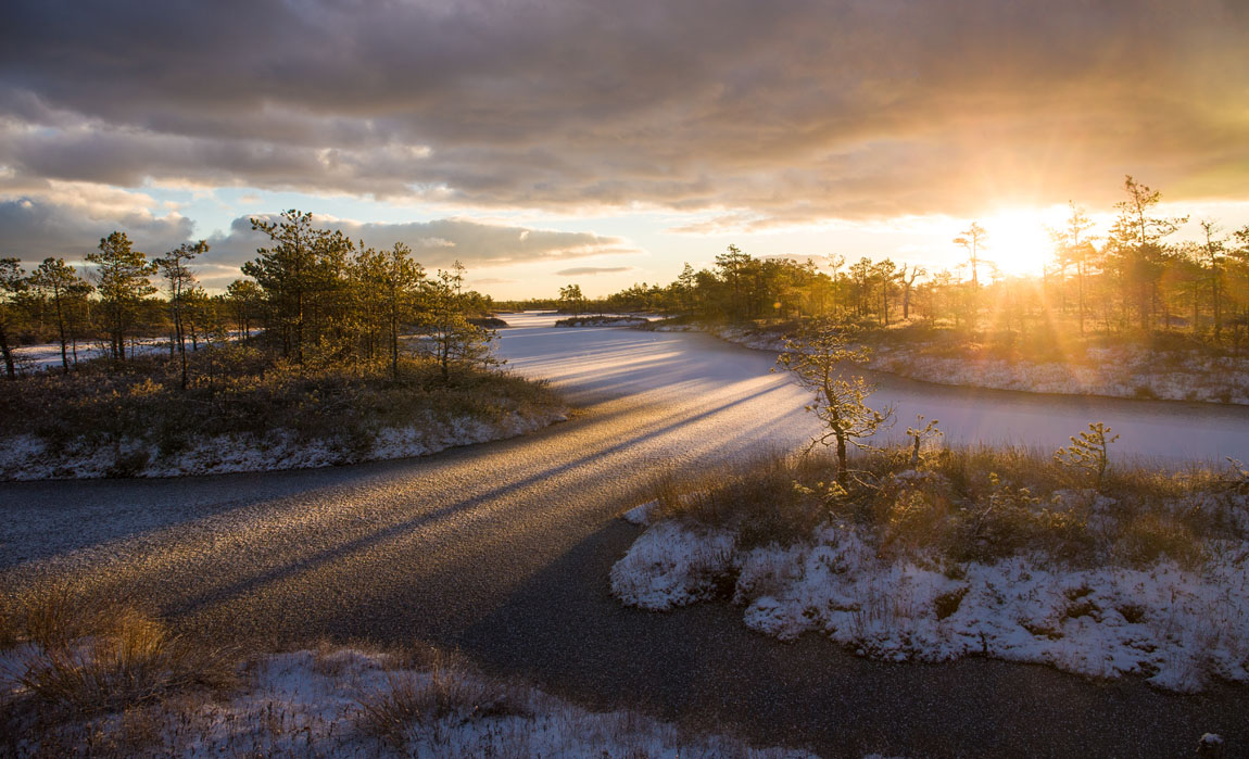 Licht eines neuen Tages