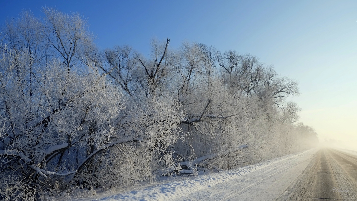 Auf dem Weg nach Hause.