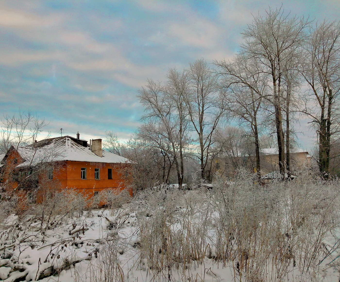 wenn die Bäume groß sind ..