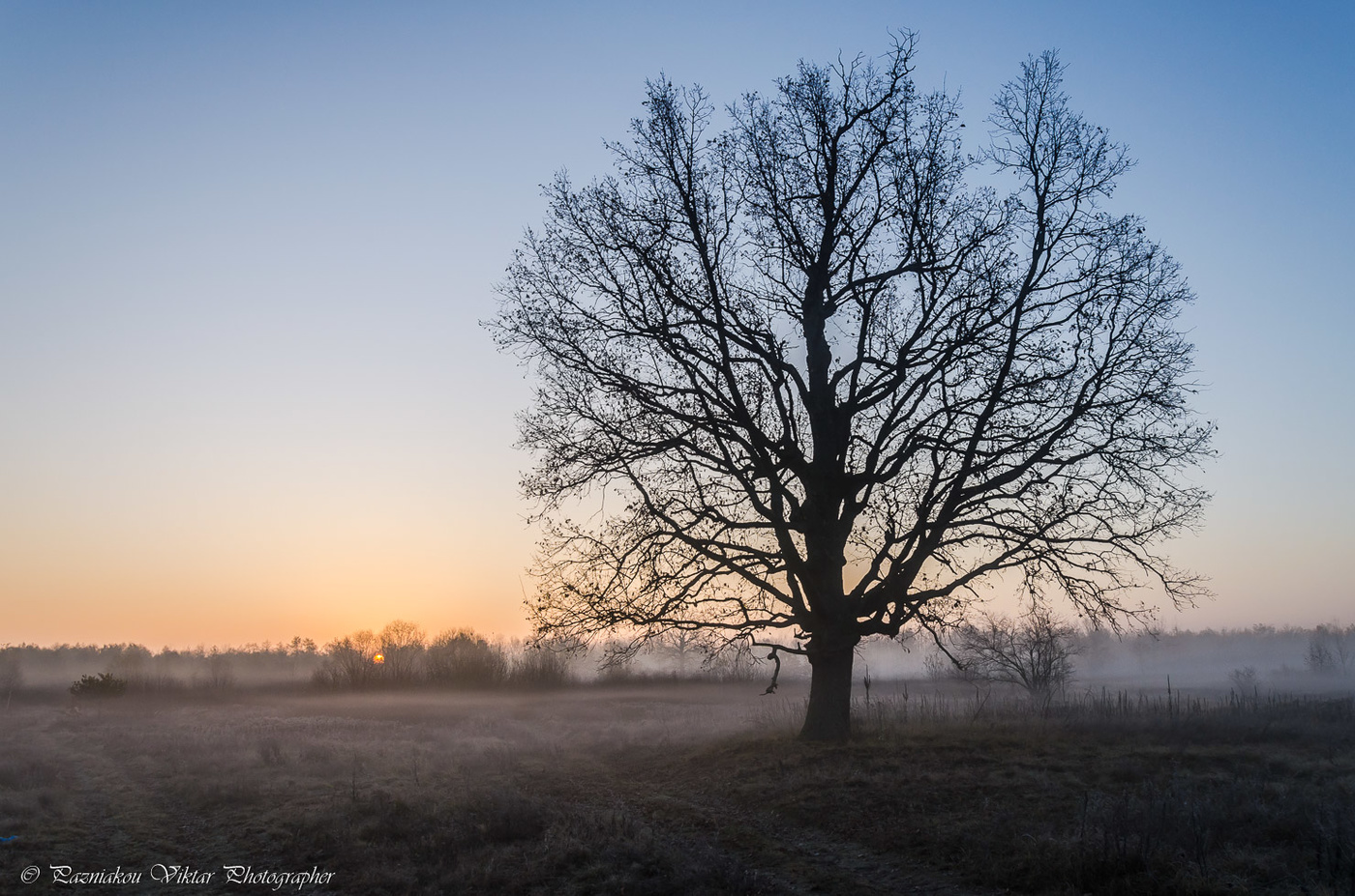 Die Geburt eines neuen Tages