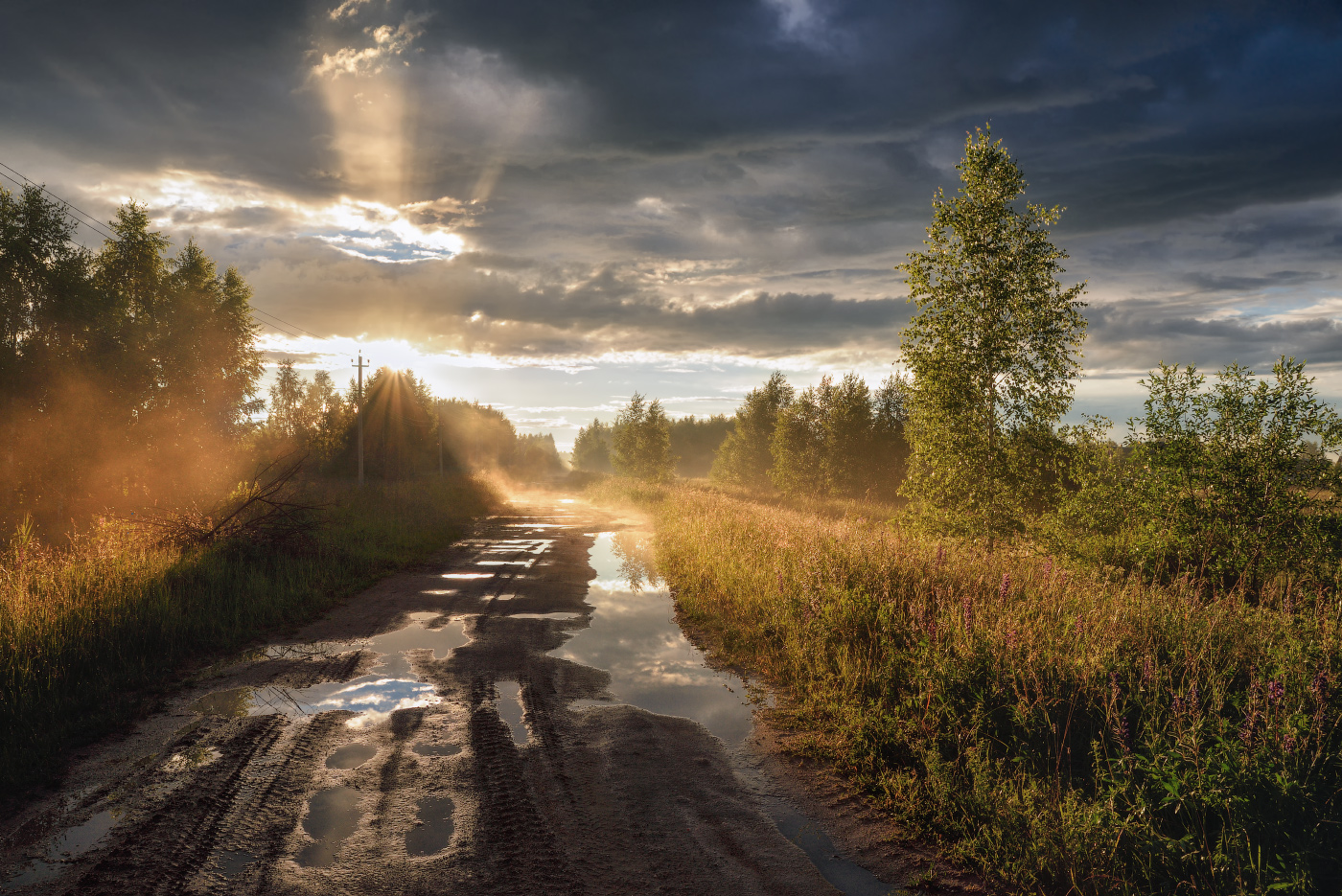 nach dem Sommer regen