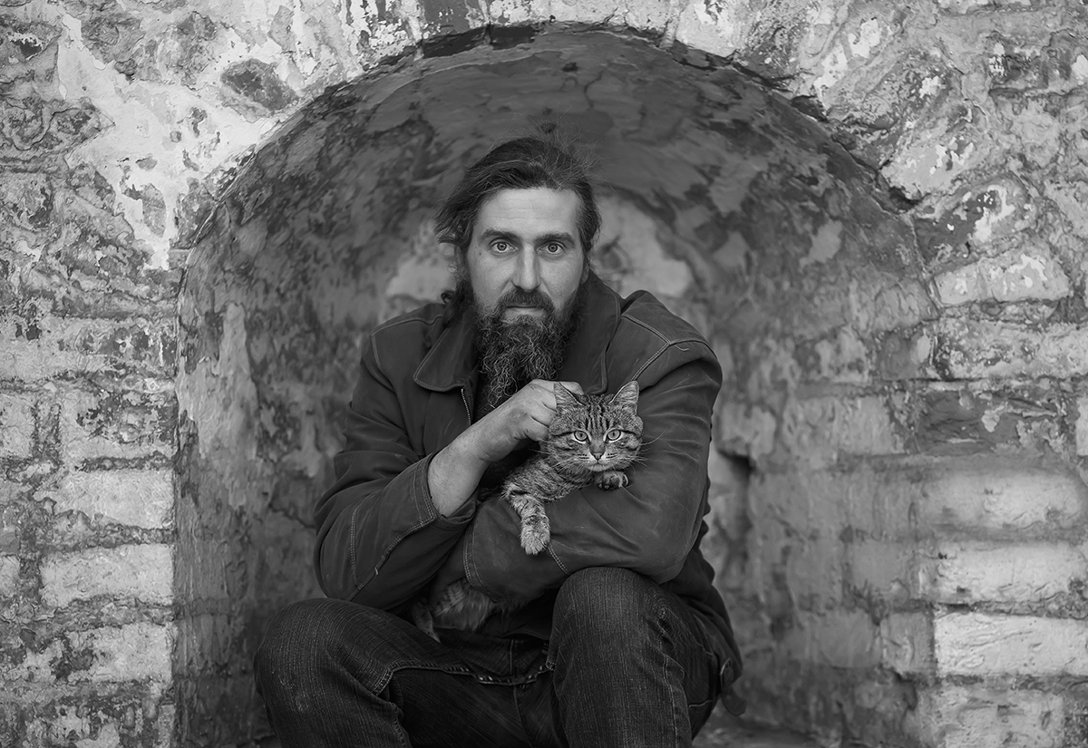 Portrait einer Katze