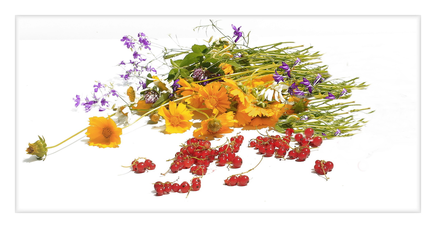 Erinnerungen an den Sommer