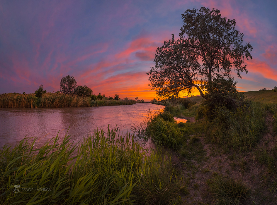 Frühlingsdämmerung