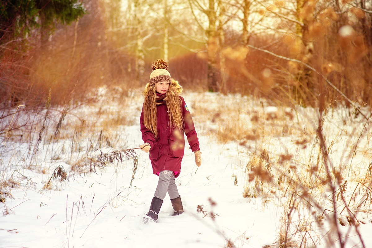 Wandern in den Wäldern