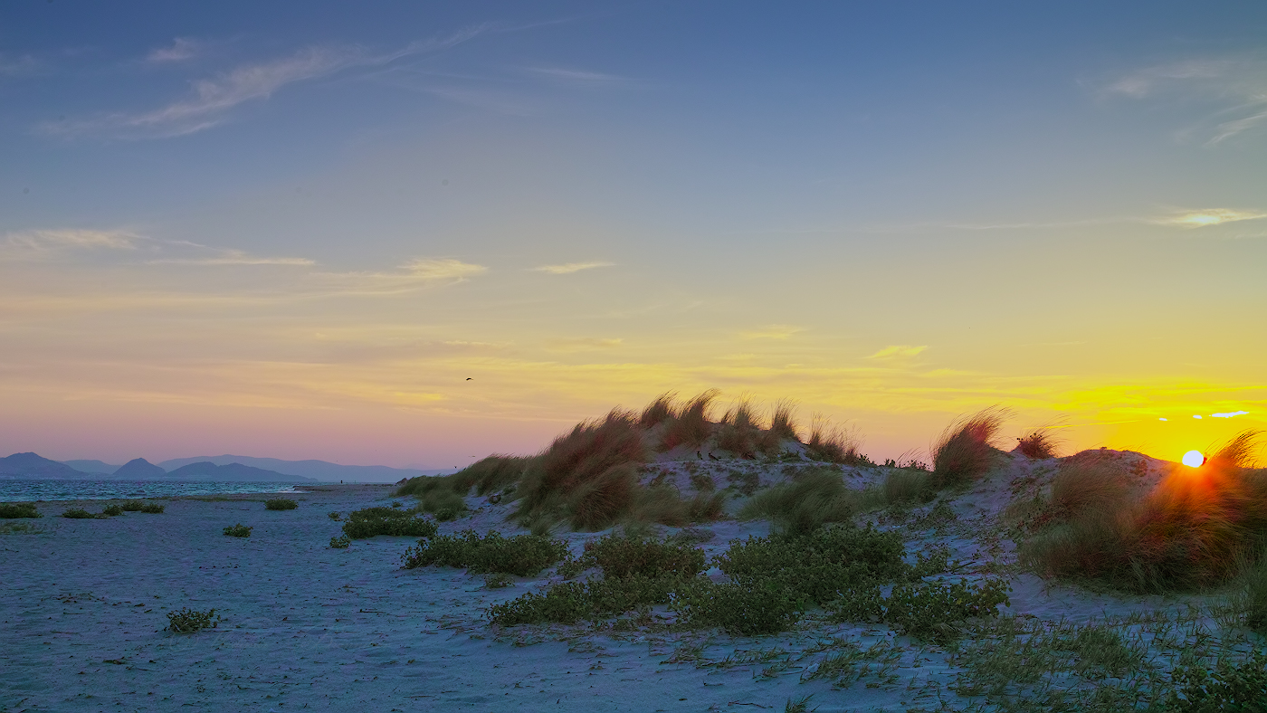 The House of the Rising Sun