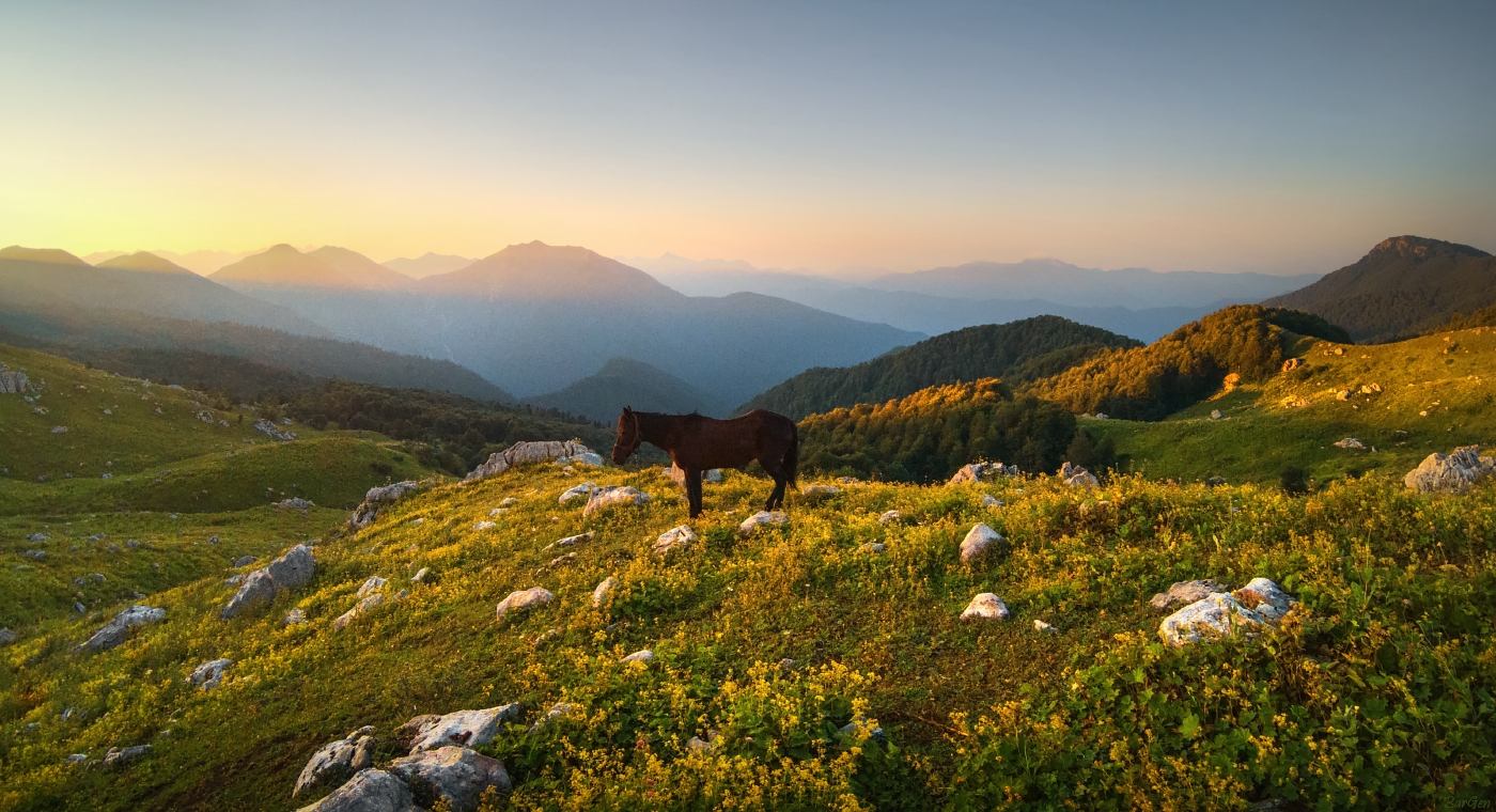 Landschaft mit Pferd