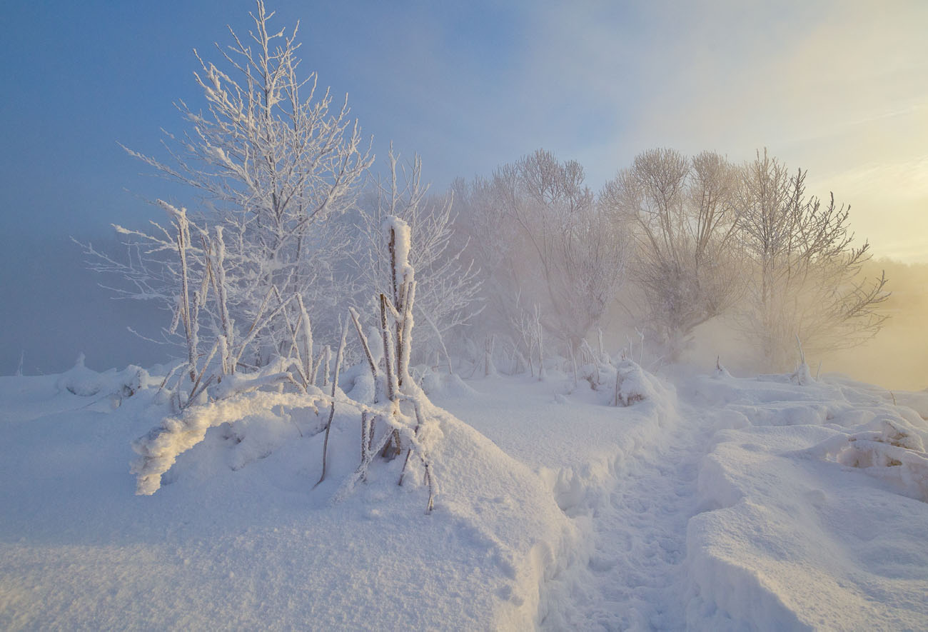 In der Kraft des Winters