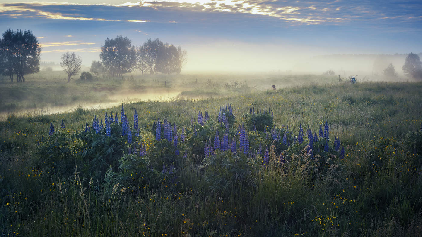 Nebel über dem Fluss