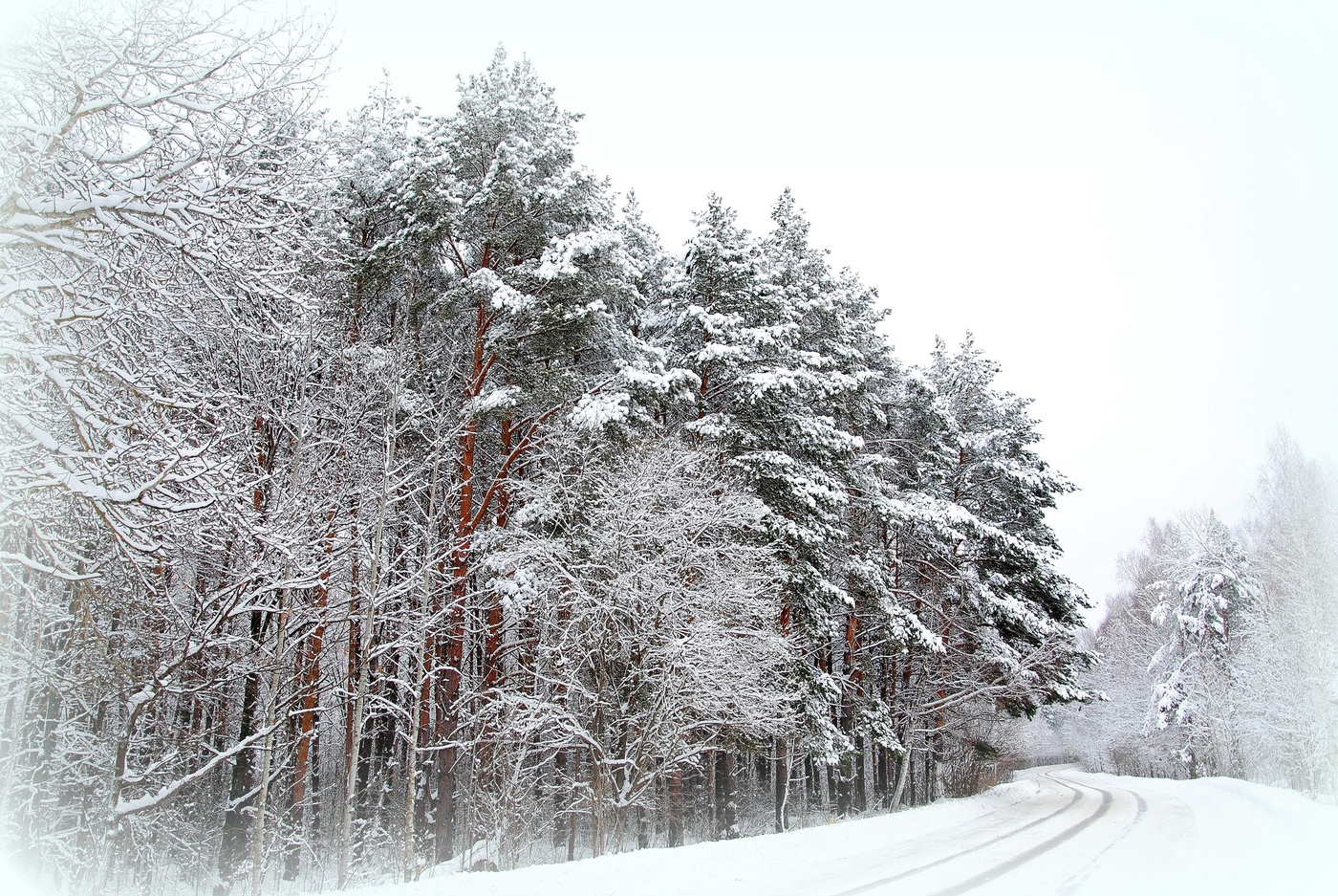 Tam, za povorotom...